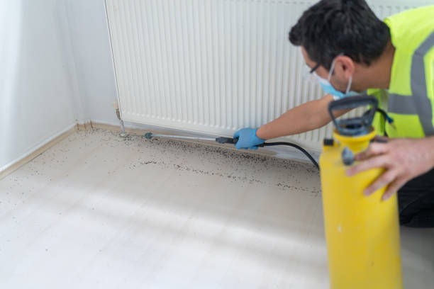 Best Rat Extermination Near Me  in Kernersville, NC
